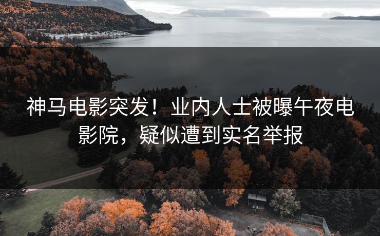 神马电影突发！业内人士被曝午夜电影院，疑似遭到实名举报